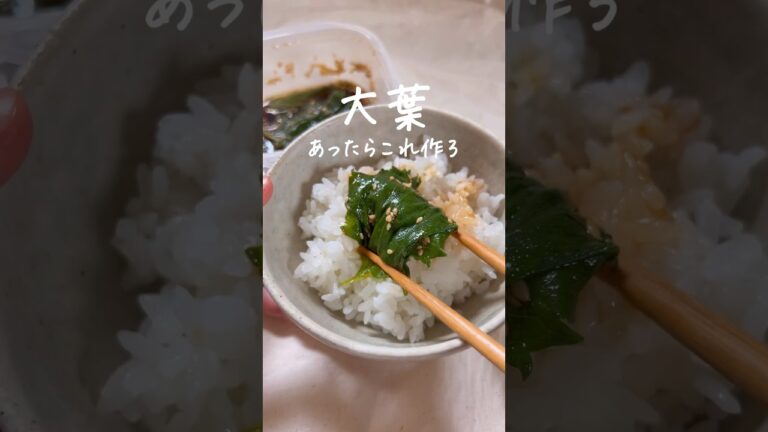 大葉の一番おいしい食べ方はコレ。 #簡単レシピ