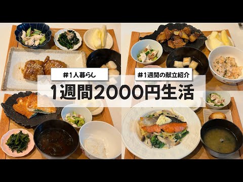【料理Vlog】【1週間2000円生活】〜1人暮らしOLの30分で作る1週間の自炊記録〜 肉巻きおにぎり/鮭のクリームパスタ/しそチーズ豚カツ/ナスの唐揚げ/ナスの蒲焼丼/和風オムレツ
