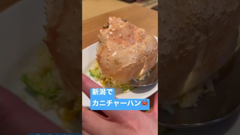 新潟でカニチャーハン🦀美味しかった　中華飯店kinsan