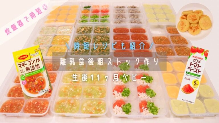 【離乳食後期】冷凍ストック作り！炊飯器で時短！簡単メニュー/カミカミ期〈生後11ヶ月・3回食〉