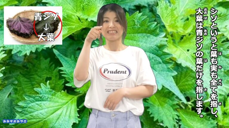 みみサポみやぎ　R6-16　シソ？大葉？どっちで呼びますか？