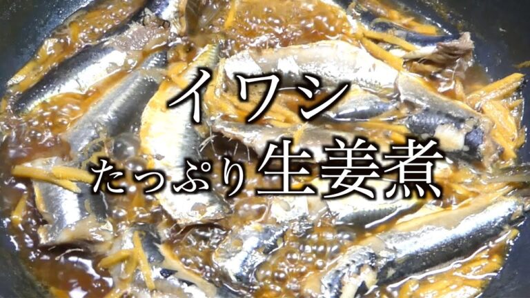 イワシレシピ　生姜たっぷりイワシ生姜煮　Sardine recipe with plenty of ginger Boiled sardines with ginger