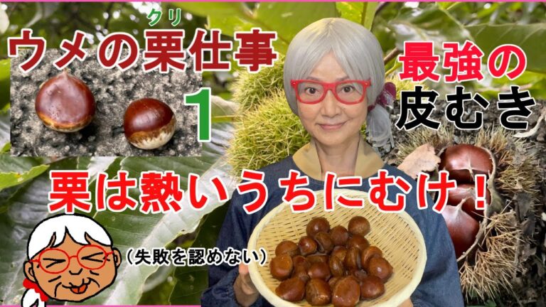 【栗の皮むき】ウメの栗仕事①栗は熱いうちにむけ！つけておく必要もなし！