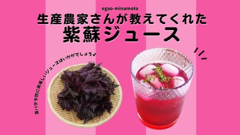 【3万再生突破】生産農家さんに教わったしそジュースの作り方。