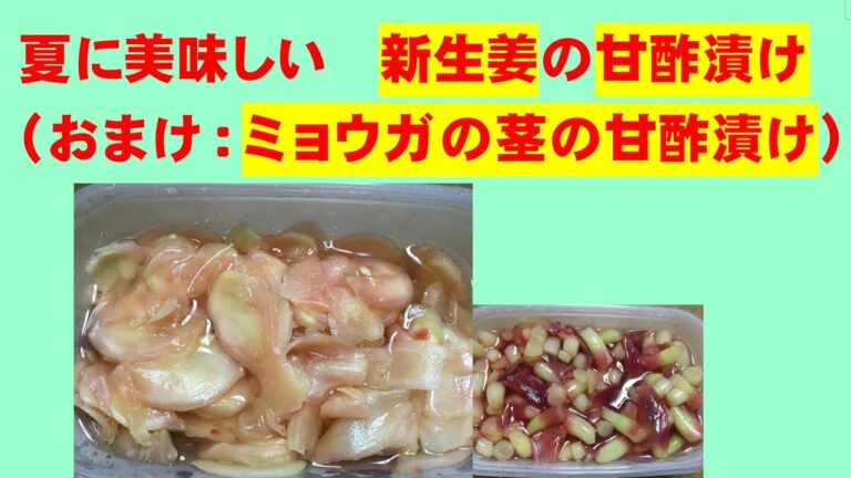 かんたん Cooking 70 夏に美味しい　新生姜の甘酢漬け　おまけ（ミョウガの茎の甘酢漬け）