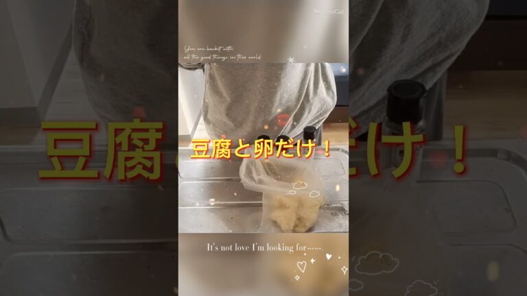 簡単すぎる豆腐ハンバーグ
