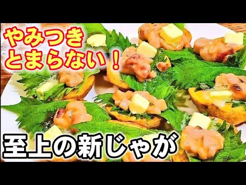 新じゃがはイカの塩辛と大葉で100倍旨くなる！おつまみジャガイモレシピ/おうち居酒屋/副菜/大量消費/節約簡単レシピ