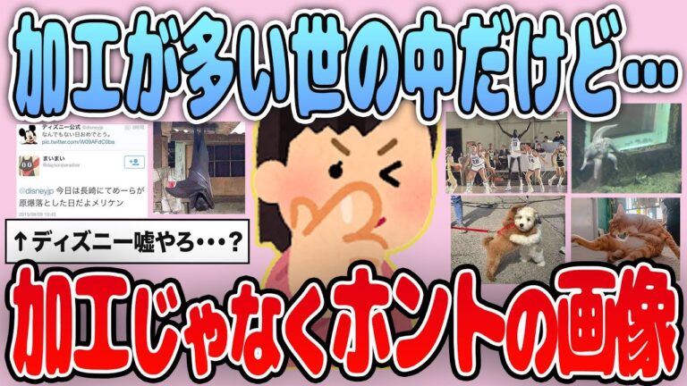 【有益】世の中加工が多いけど…これは本当の姿だよって画像を紹介【ガルちゃん】