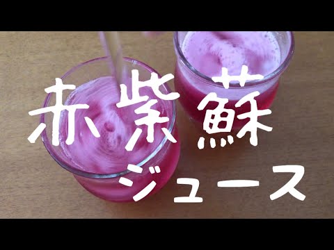 赤紫蘇ジュースレシピ　夏バテ予防！疲労回復！成人病予防！悪玉コレステロール低下！
