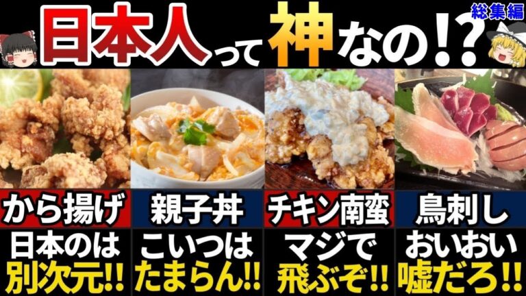 【ゆっくり解説】海外の人が驚く！日本の美味すぎる最強鶏料理７選【総集編】
