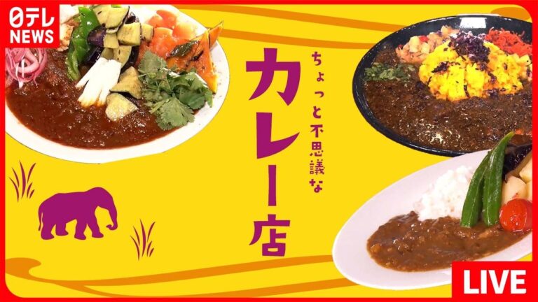 【カレーまとめ】3種類の味が楽しめる！色鮮やかな野菜カレー/スパイス20種類以上！じっくり煮込んだチキンカレー/隠し味は豚骨スープ、コク深いこだわりカレー　など（日テレニュース LIVE）