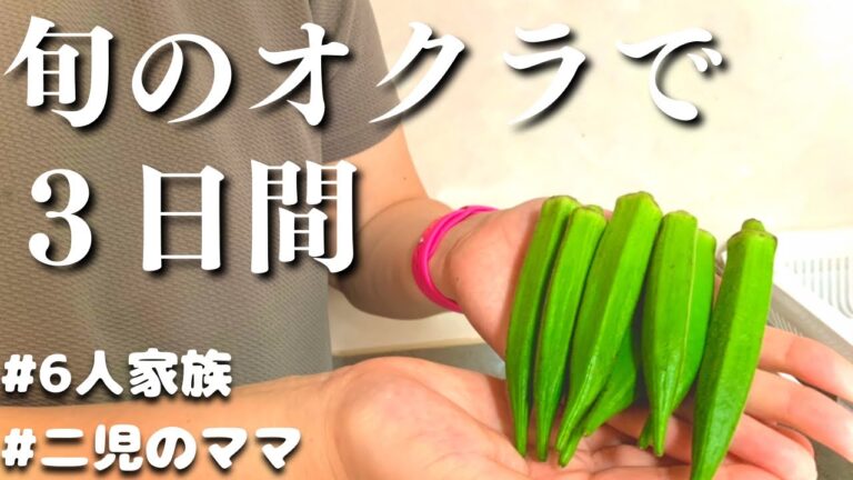 【３日間の夕飯】20代主婦が作る　オクラで晩ご飯レシピ【夜ご飯の献立】