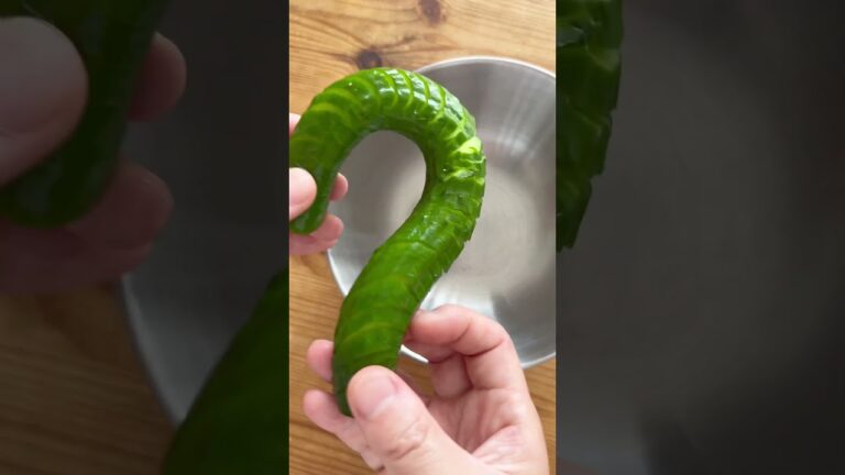 蛇腹きゅうり｜bellows cucumber #shorts