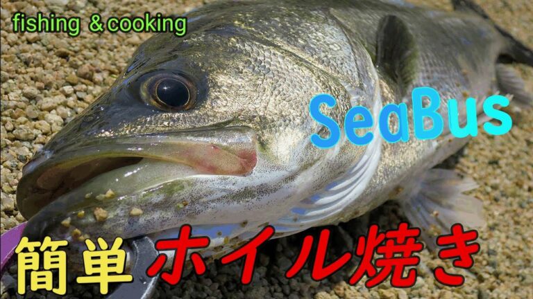 釣り人が簡単に料理！！スズキのホイル焼き