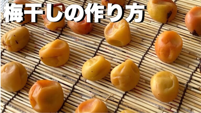 【保存瓶でできる】赤しそジュースの残り活用‼︎
