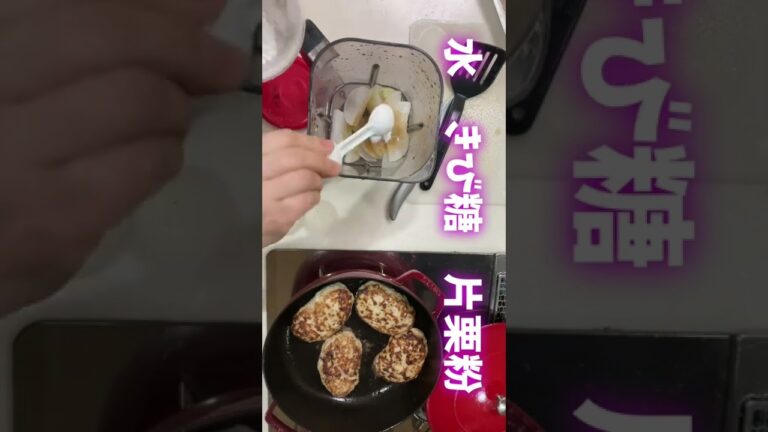 みぞれ煮込み豆腐ハンバーグ弁当