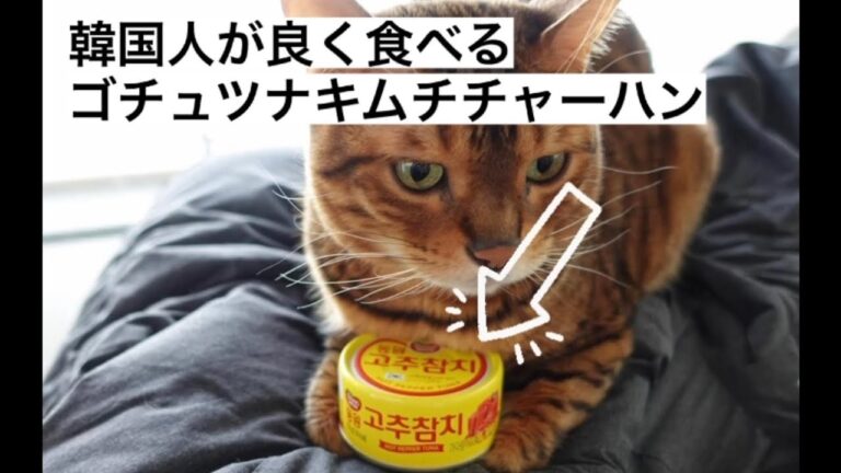 1分で見る韓国ツナ缶で作るツナキムチチャーハン