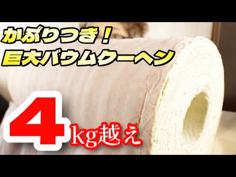 【大食い】【巨大バウムクーヘン】（サクラバウム）夢のかじりつき！