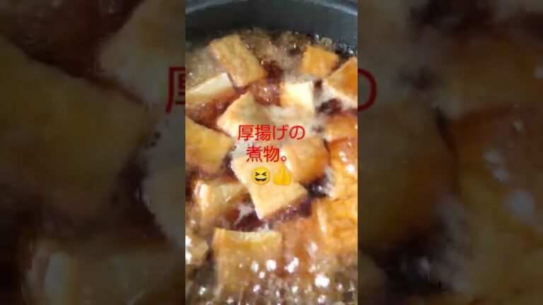 厚揚げの煮物😆👍‼️