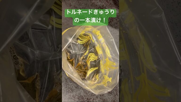 トルネードきゅうりの一本漬け！ビールとの相性抜群！