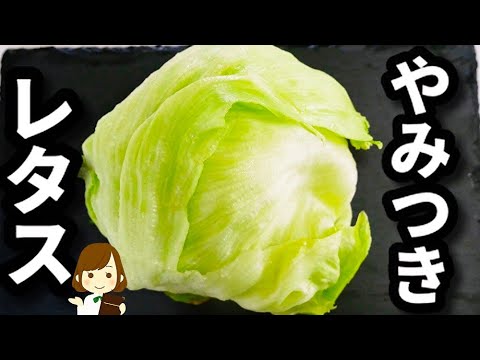 【調味料３つだけ！】ほぼ１分でできる！『超やみつきレタス』の作り方Lettuce that you can eat a lot