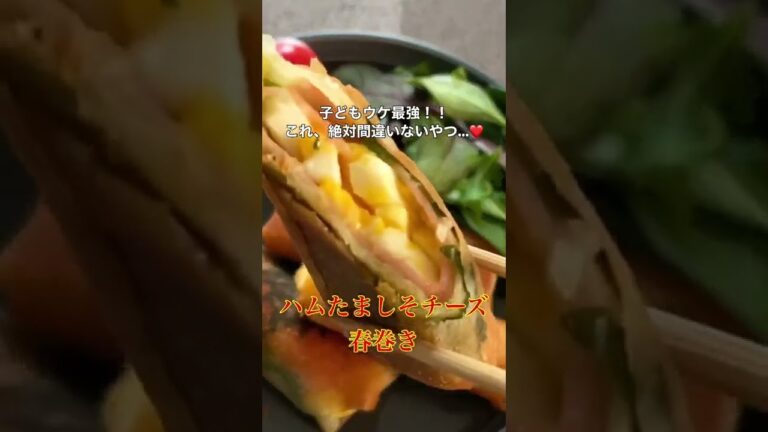 子供から大人まで！ハムたまチーズ春巻き【節約ごはん おうちごはん おかず 料理 レシピ 簡単レシピ 今日のごはん 作り置き】#Shorts
