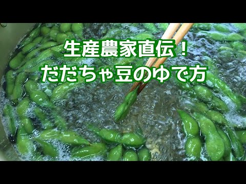 だだちゃ豆の茹で方 生産農家直伝！