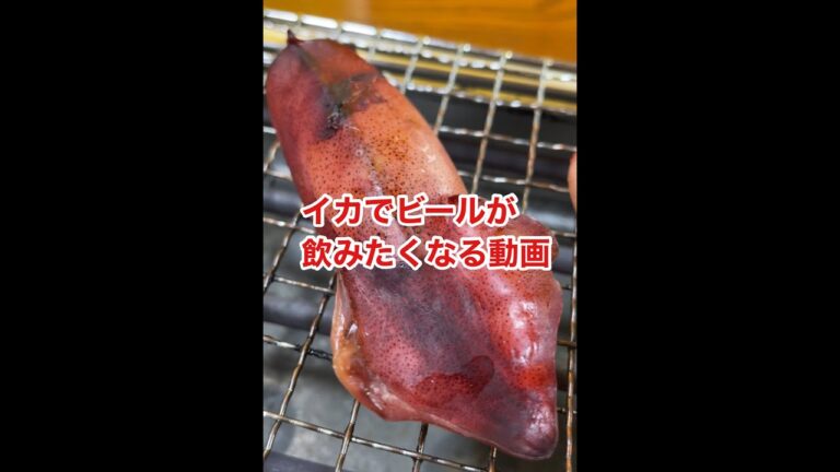 イカでビールが飲みたくなる動画#shorts