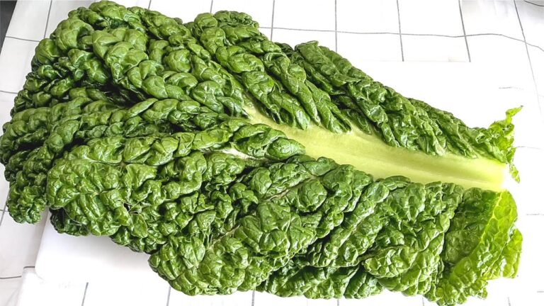 【料理アイテム動画】博多の正月！雑煮や煮物の必需品‼福岡地野菜かつお菜保存の仕方。