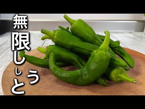 【無限ししとう】焼くだけ3分で激ウマ無限ししとうを教えます