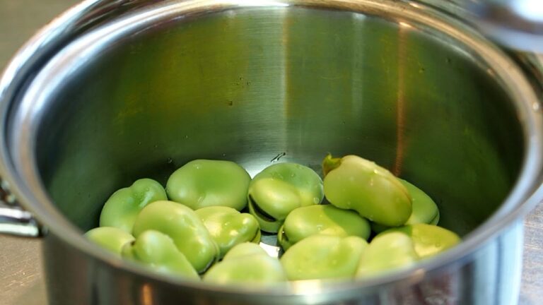 【ビタクラフト】でゆでる【そら豆】・無水調理