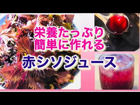 赤シソジュース＆赤シソ酒