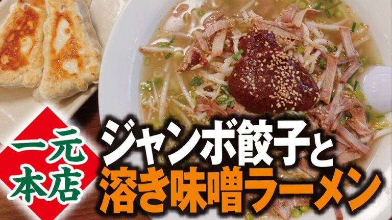 もやし味噌ラーメン＆餃子大【一元本店】清水区七ツ新屋 Bean sprout miso ramen