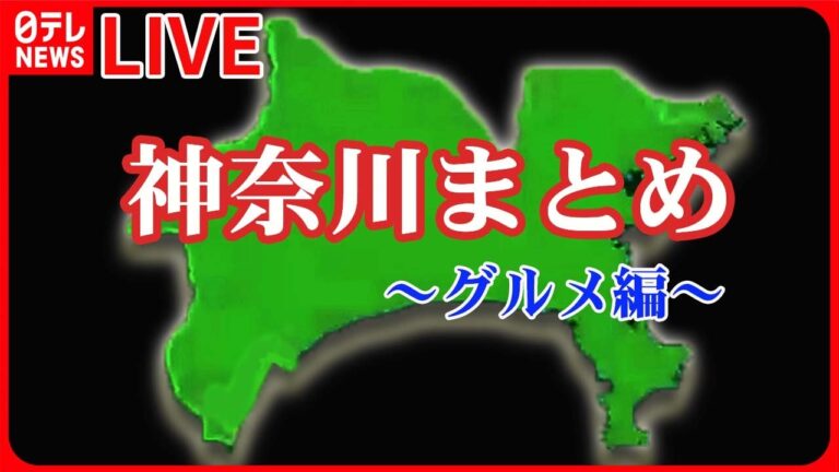 【神奈川グルメまとめ】横浜で人気の肉盛りスタミナカレー / 堪能！三崎マグロ3点盛り / 愛されて41年！日吉の洋食店　など（日テレNEWS LIVE）