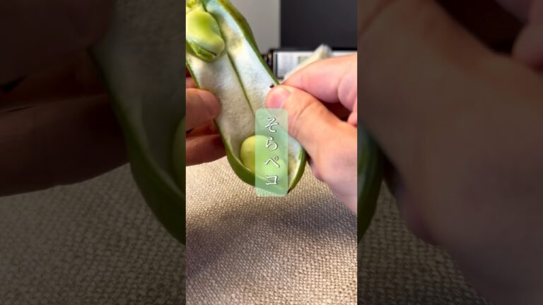 そら豆ペコリーノ