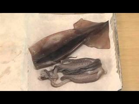 イカと里芋の煮もの のレシピ　|　料理サプリ