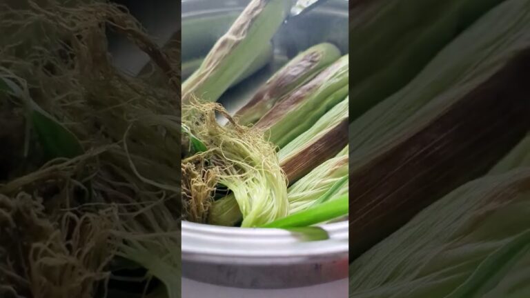 「今だけの味」初夏に味わうベビーコーンのオープン焼き