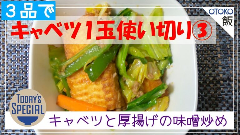 【男飯 × 簡単レシピ】キャベツと厚揚げの味噌炒め
