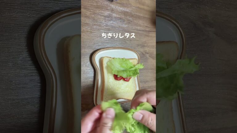 お母さんの簡単朝ごはん／サンドイッチ／食パン／残り物で節約レシピ