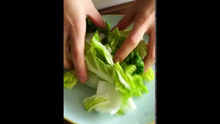 白菜の漬物「ラーパーツァイ」 VegeTable