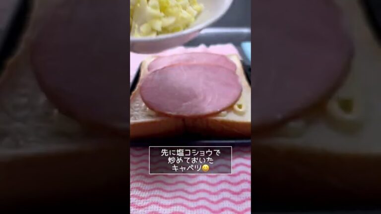 ホットサンド🥪焼くやつ買っちゃった🥰ハムチーズサンド作ってみた✨
