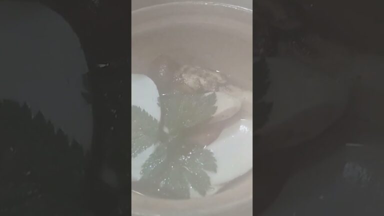 めちゃくちゃ美味しい松茸土瓶蒸し