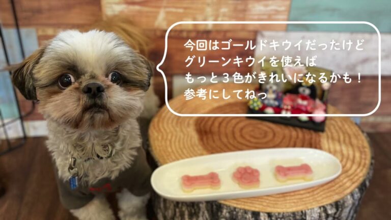 【犬の手作りおやつ】ひな祭りのひしもち風３色寒天ゼリー　ひらめちゃんねる（byぐらんわん！）