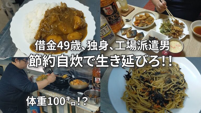 【家賃28000円独り暮らし男の晩酌】冬は和食で乾杯【肉じゃがリメイクカレーも美味い】
