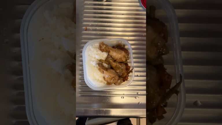 【昼飯】きんぴらごぼう、手羽先の甘酢煮【弁当】