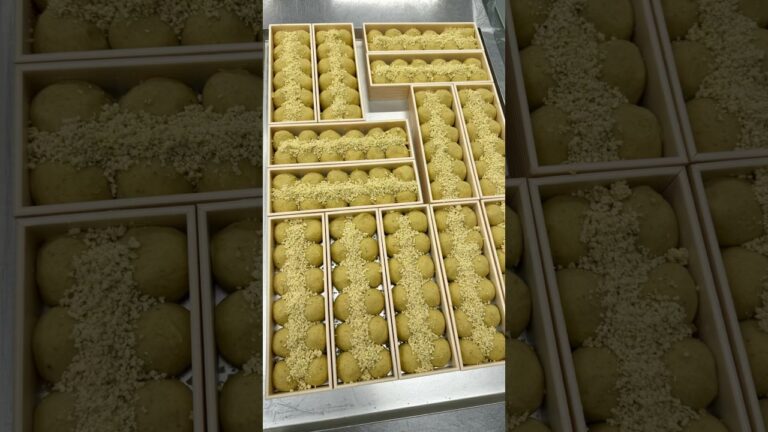 【即日完売!?絶品栗きんとん団子餅🌰】 #岐阜グルメ #栗きんとん