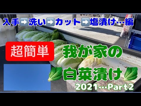 白菜漬け 2021 我が家の白菜漬け Part2 🥬白菜塩漬け 🥬白菜水抜き 簡単白菜漬け 白菜本漬け前の塩漬け編 自己流 俺流    簡単レシピ