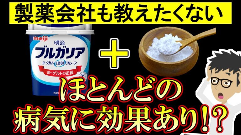ヨーグルトと○○の組み合わせがとんでもなかった！【乳製品｜効果｜レシピ｜メーカー｜牛乳｜発酵食品｜朝｜モーニング｜ルーティン】