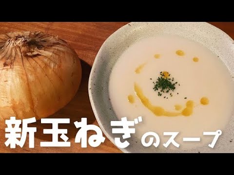 【これマジで美味いっす】おうちで簡単【新玉ねぎのスープ】/一人暮らしのちょっと洒落た自炊時間
