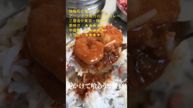 神保町の南インドでアーンドラ地方のえびカレー🍤🍛👳三燈舎@東京・神保町 #Shorts